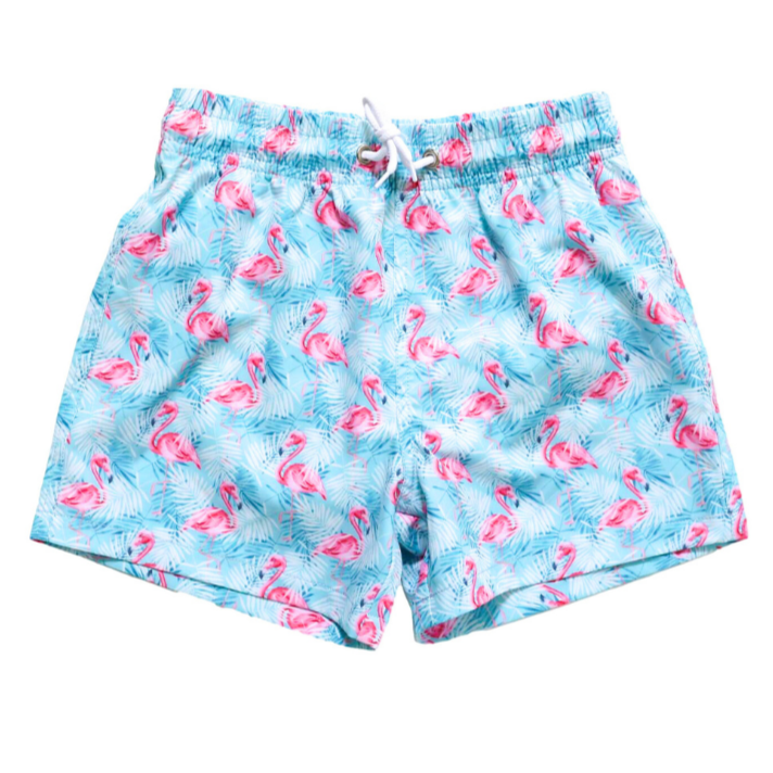 Playa Flamingo Trunks - HoneyBug