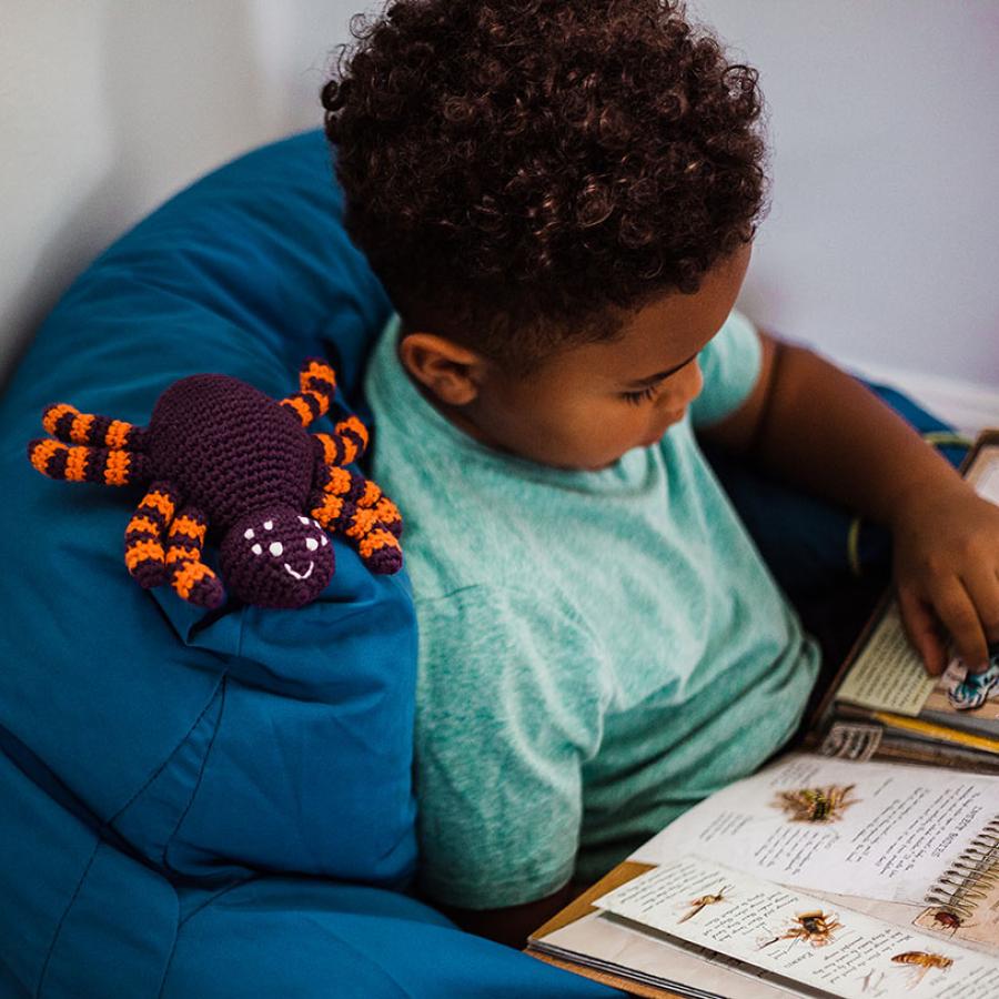 Halloween Toy Spider Rattle - HoneyBug