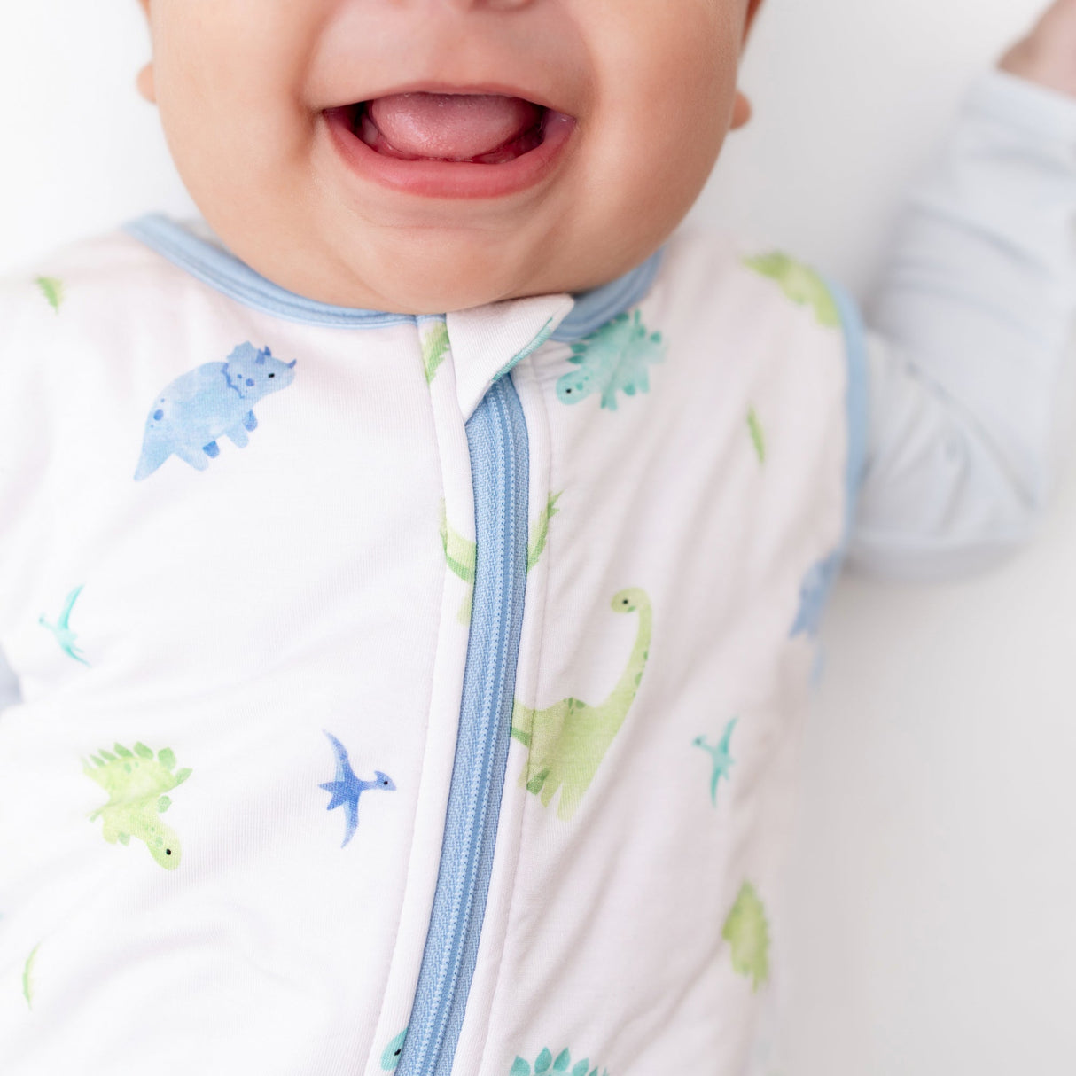 Dinosaur Sleep Sack 1.0 TOG - HoneyBug