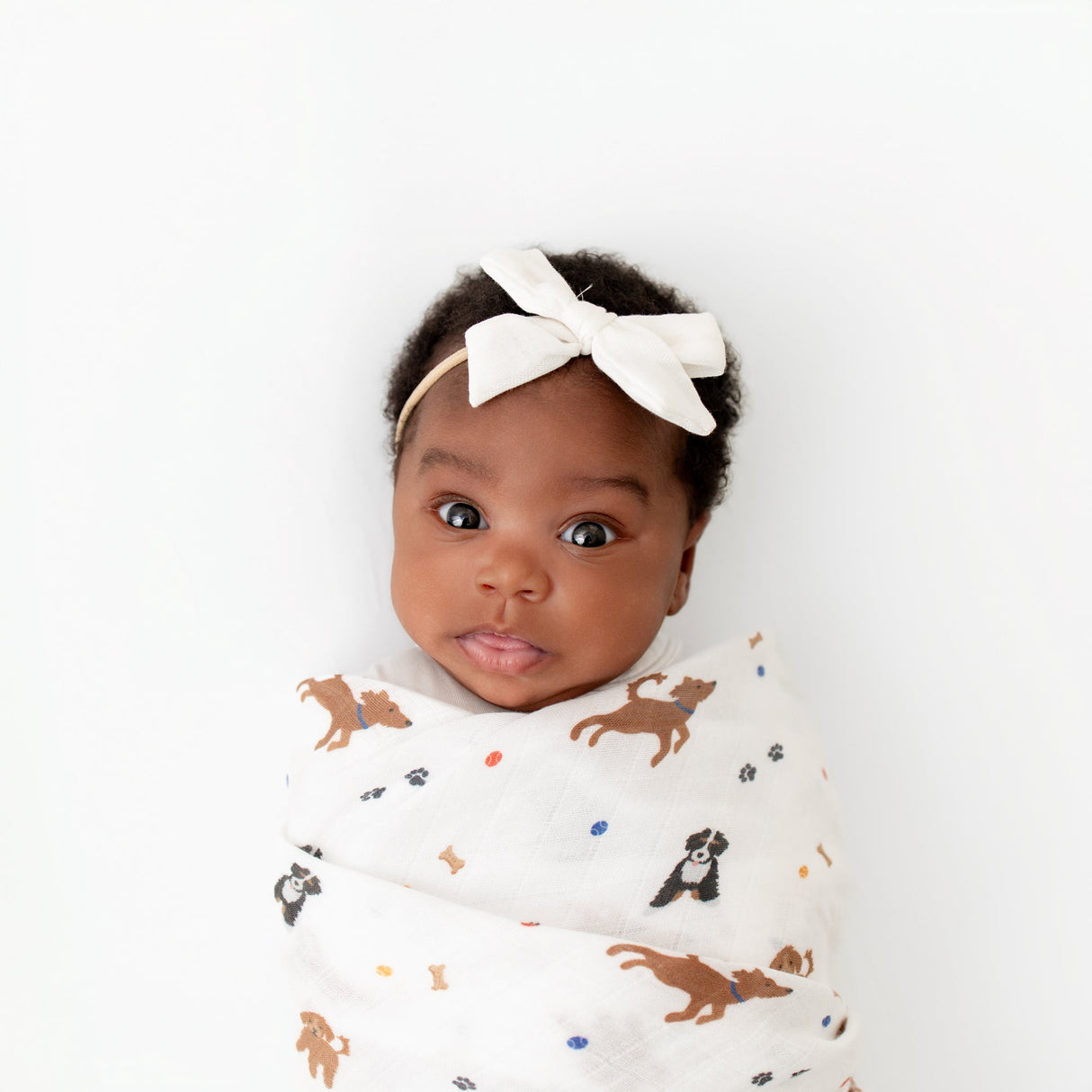 Dogs Swaddle - HoneyBug