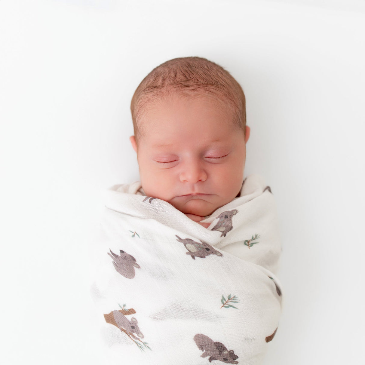 Koala Swaddle - HoneyBug