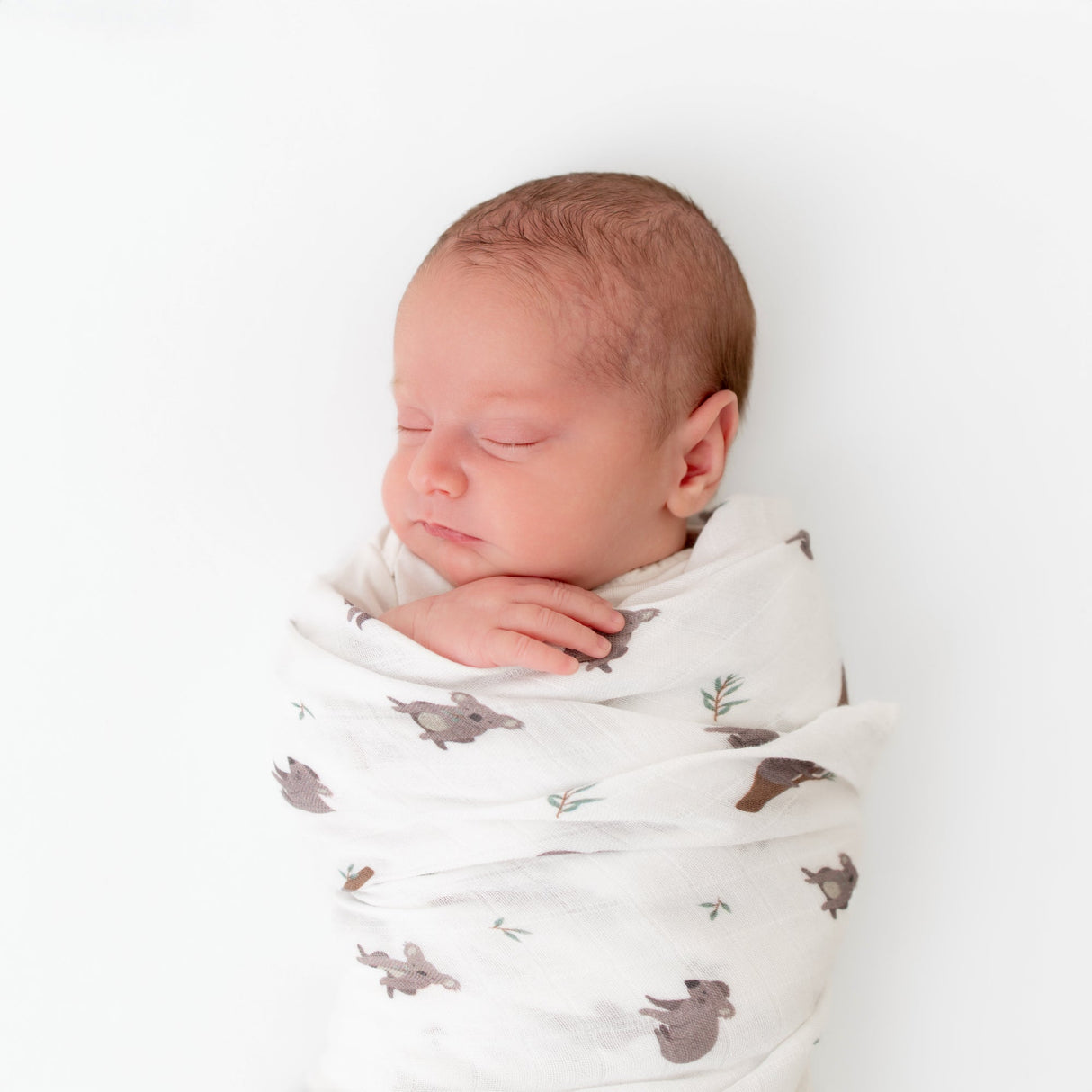 Koala Swaddle - HoneyBug