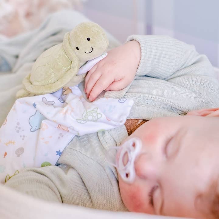 Turtle Organic Comforter - HoneyBug