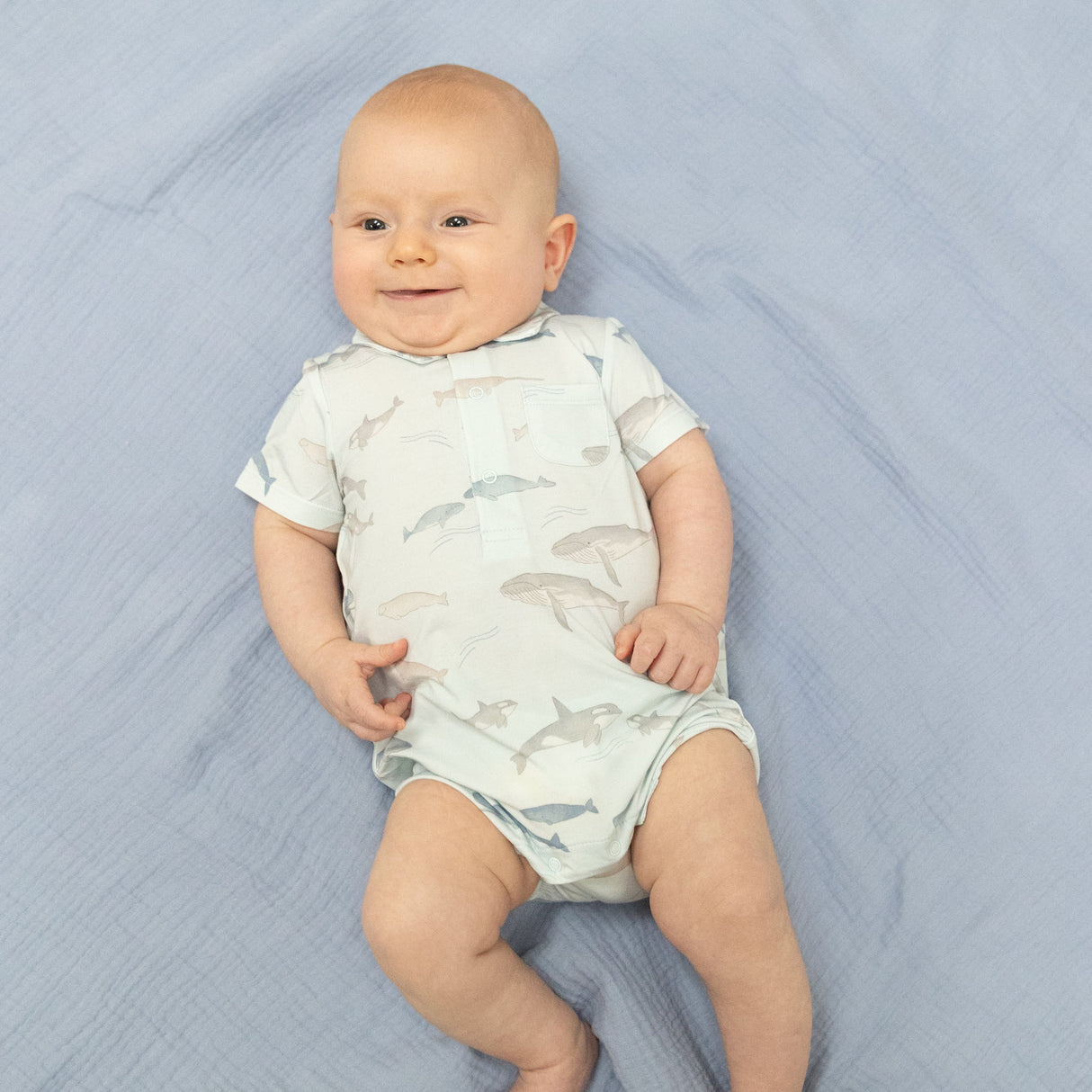 Little Whales - Polo Shortie