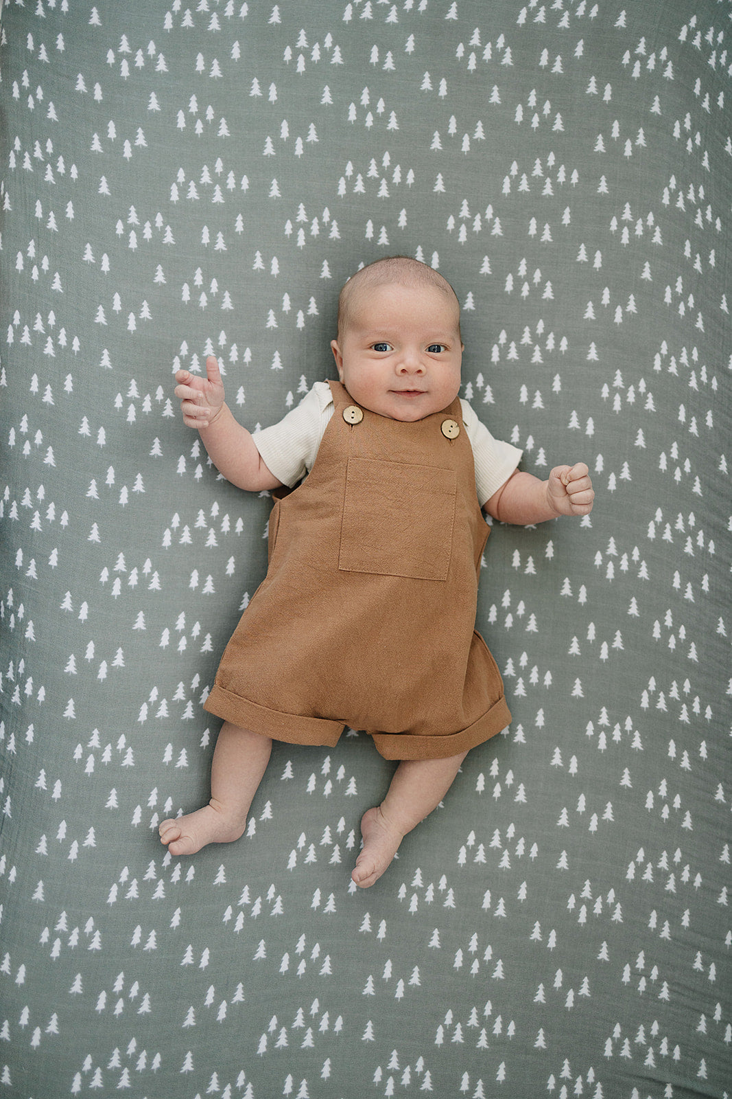 Pines Muslin Crib Sheet - HoneyBug