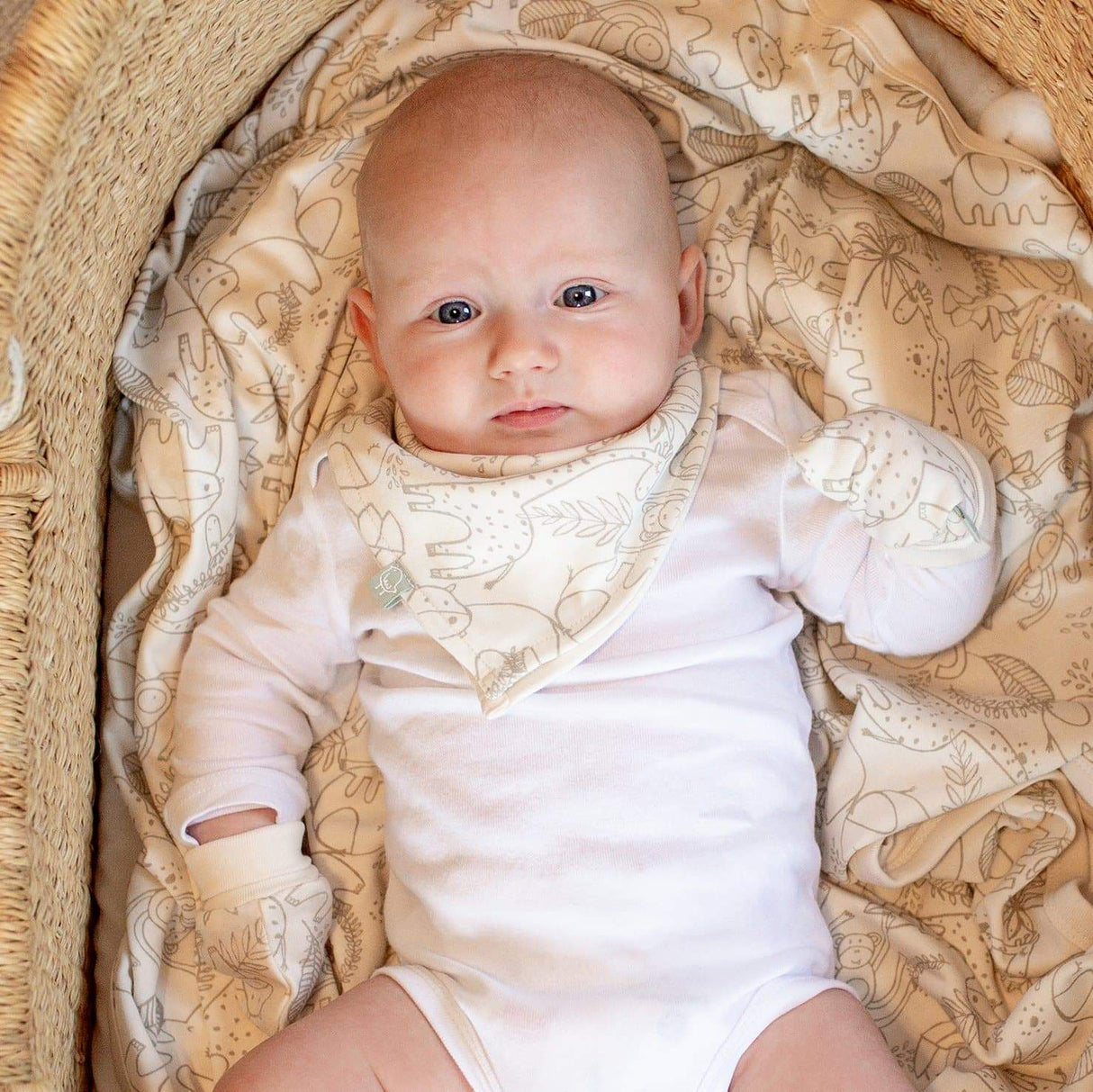 mittens | sun ray - HoneyBug