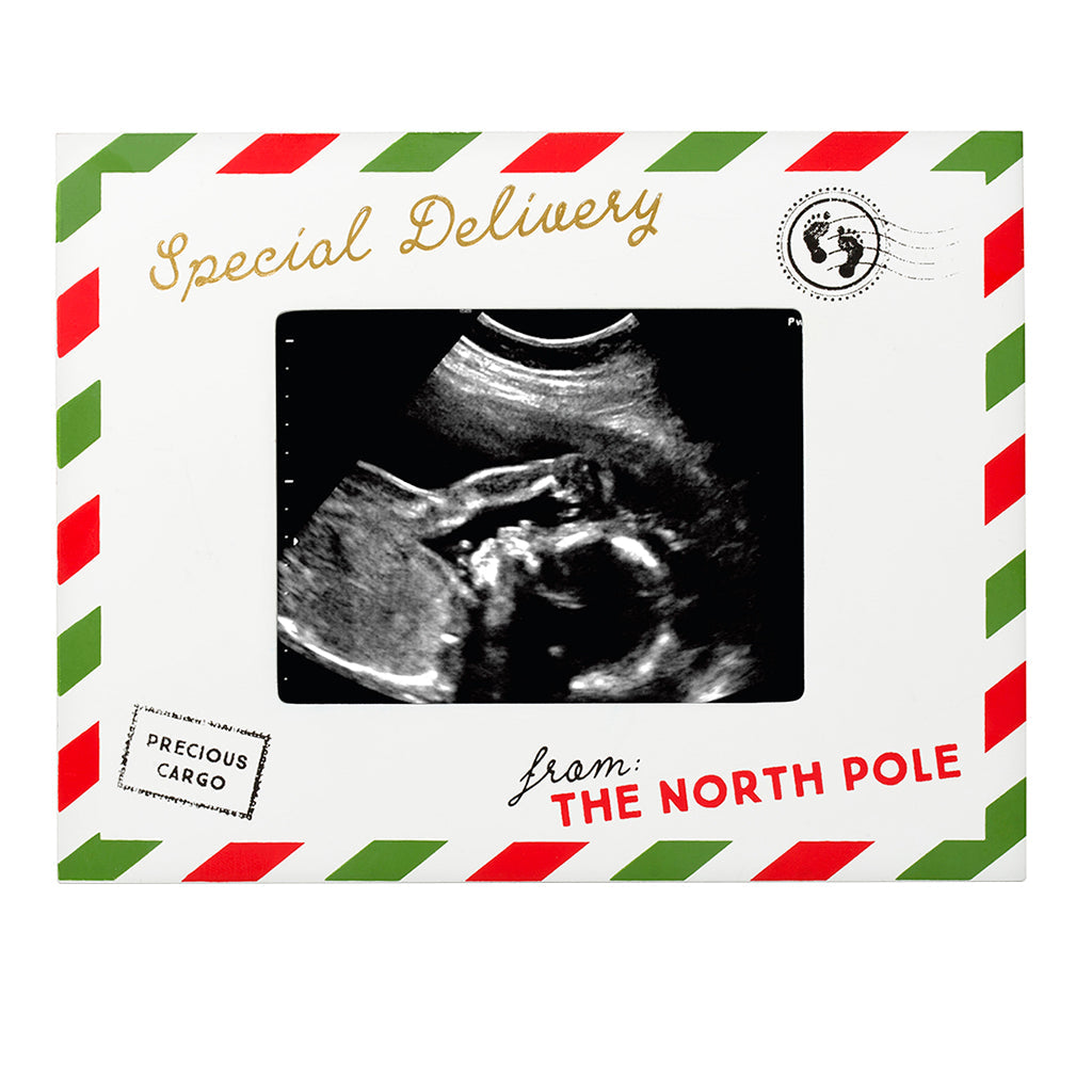 Special Delivery Sonogram Frame - HoneyBug
