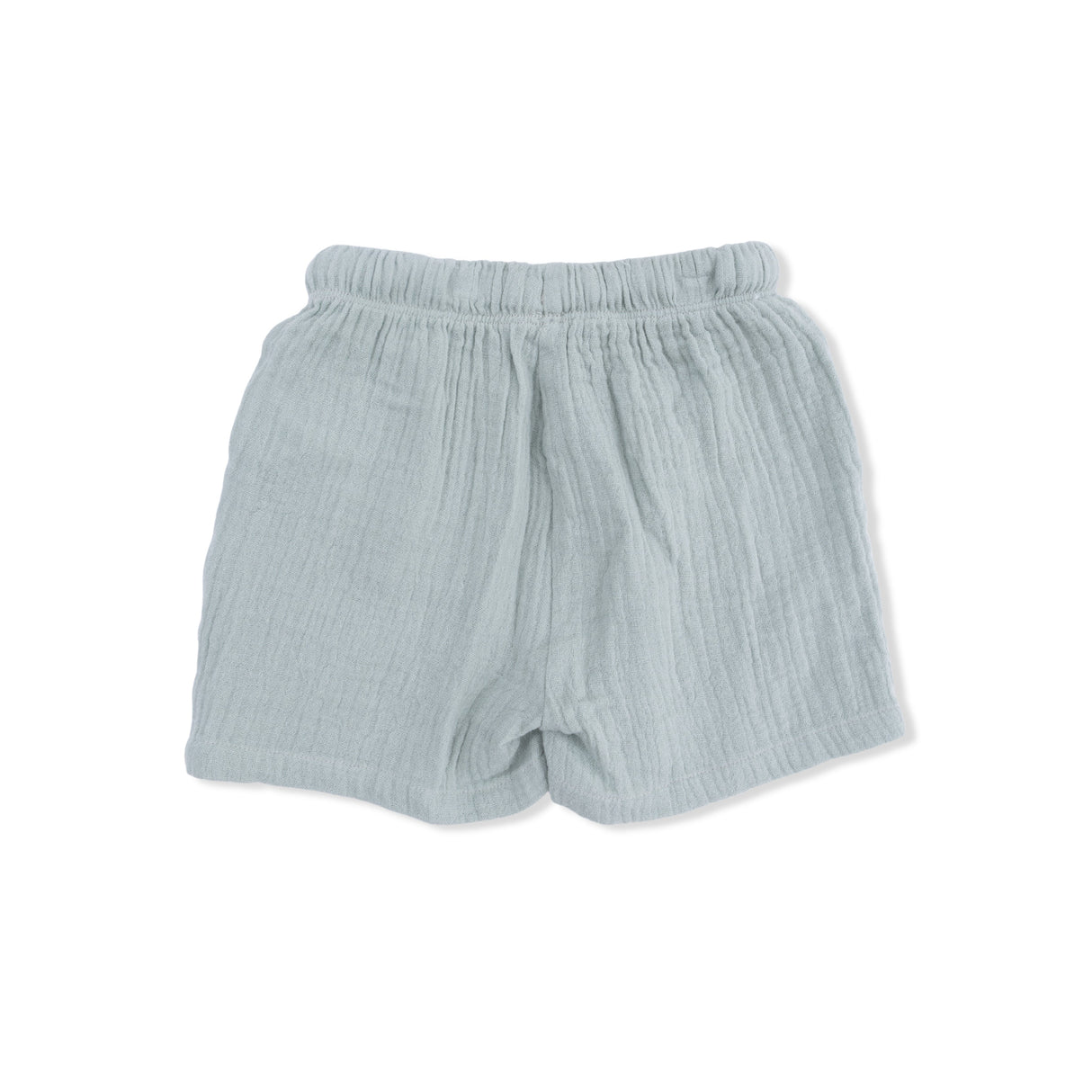 Sea Turtles - Polo with Casual Short