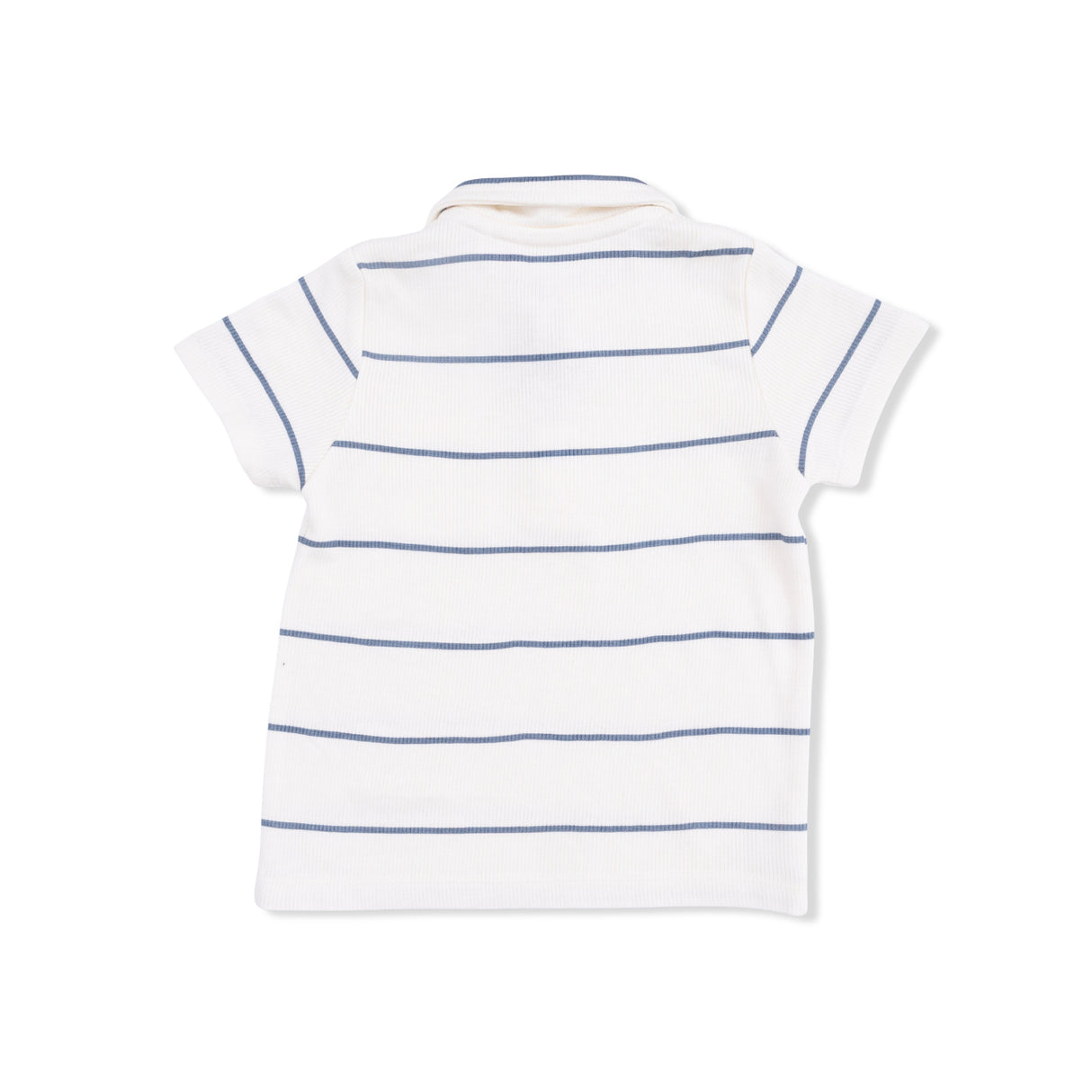 Vintage Stripe - Polo with Casual Short