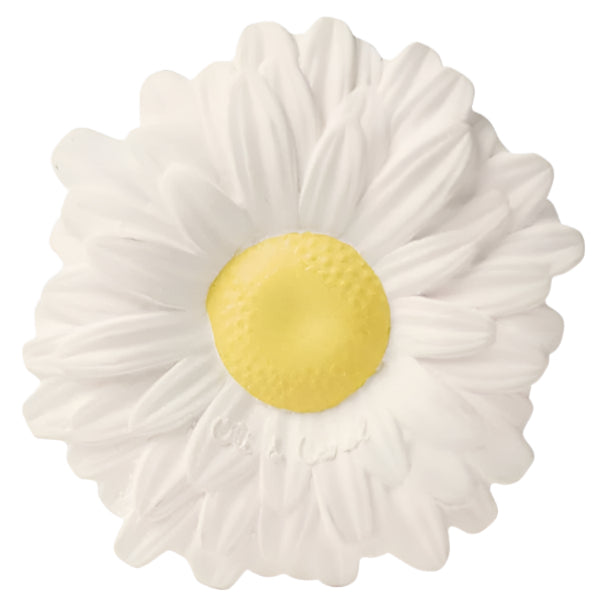 Margarita the Daisy - HoneyBug