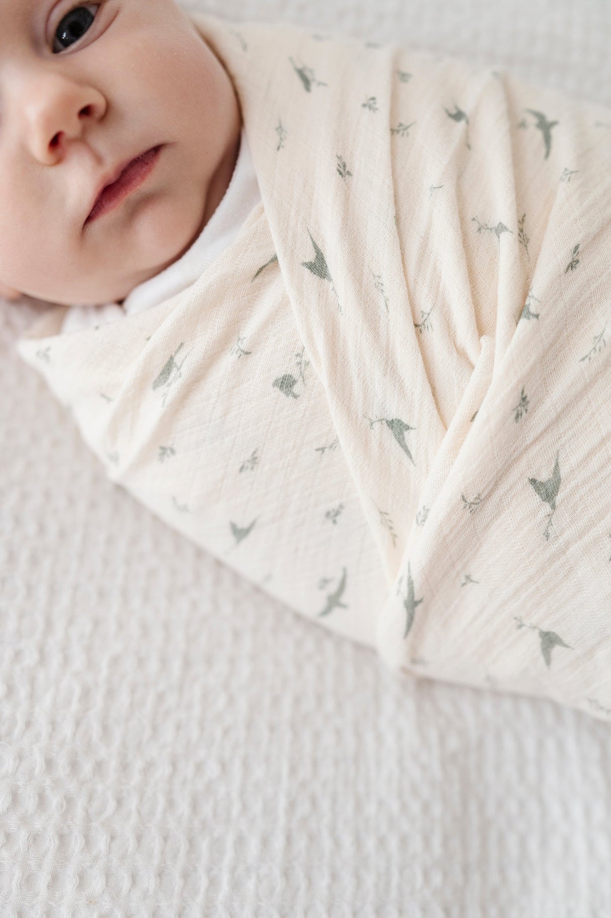 Cotton Muslin Swaddle Blanket - Sage Bird - HoneyBug