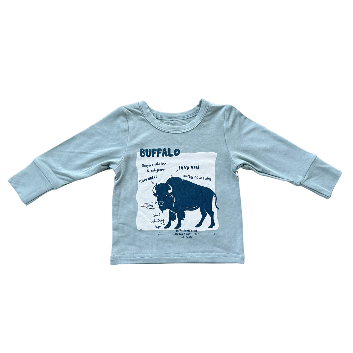 Boy's Long Sleeve Tee - HoneyBug