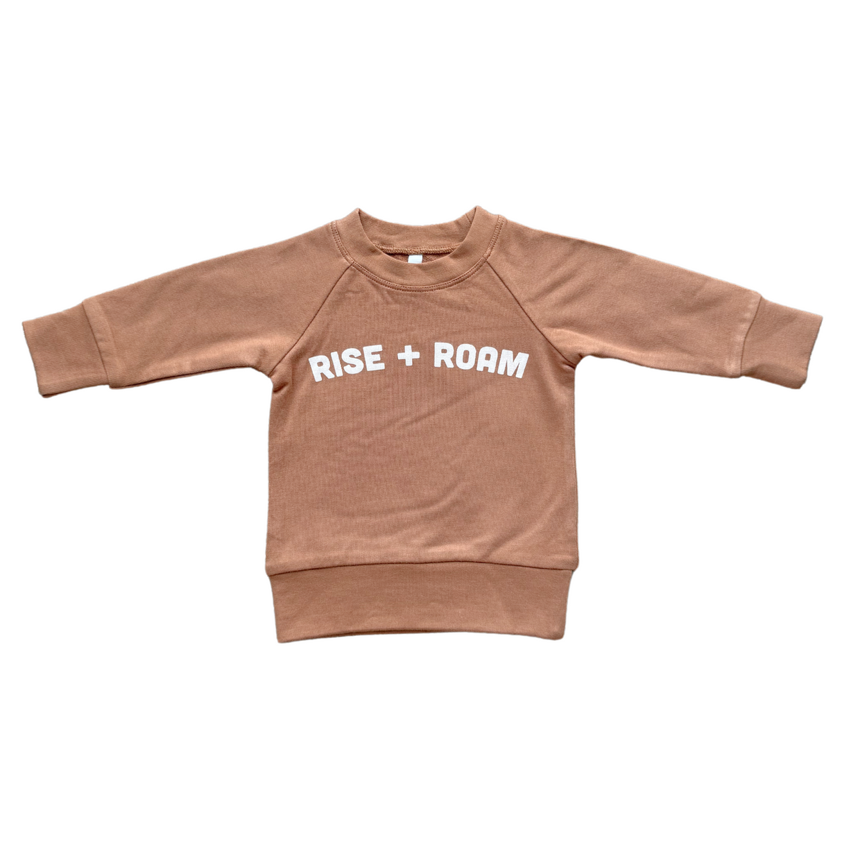 Boy's Raglan Sweatshirt - HoneyBug