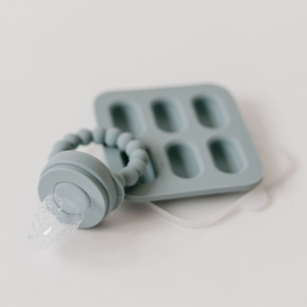 Silicone Fruit Feeder & Ice Tray Set