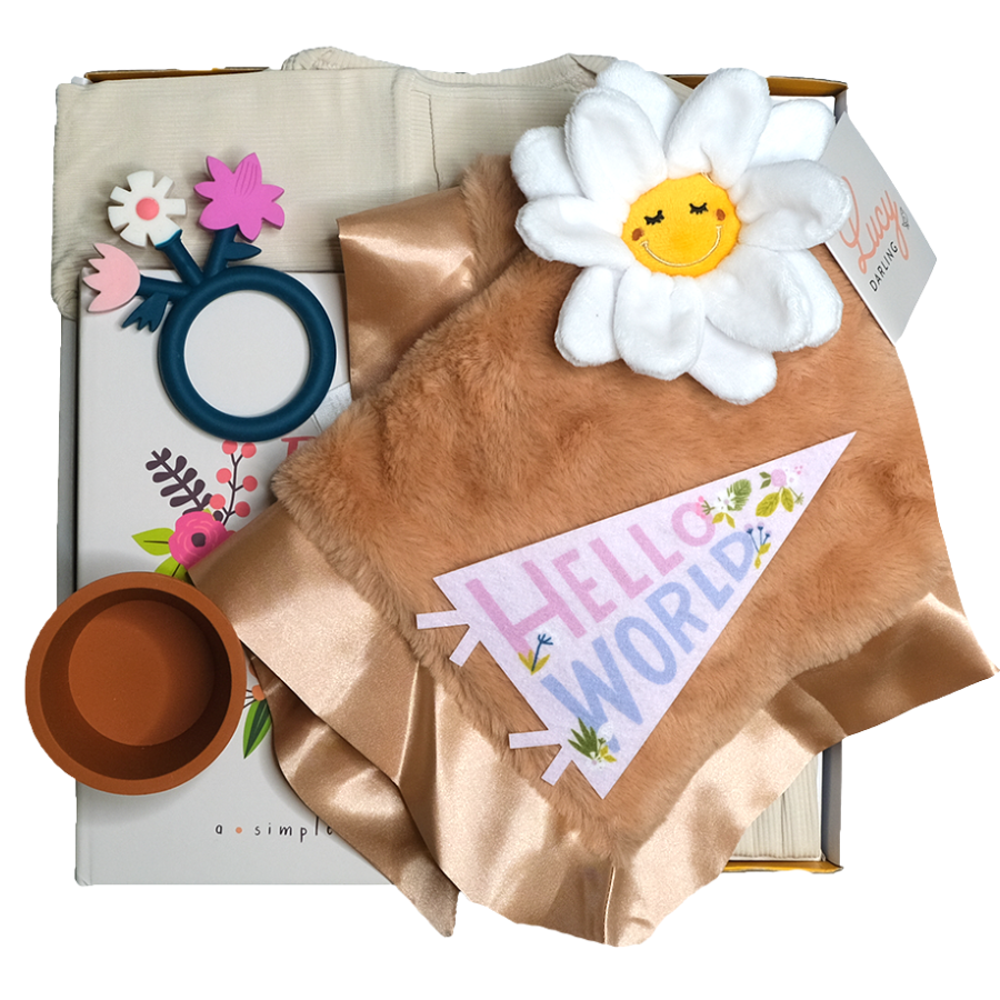 Sweet Sprout Gift Box - HoneyBug