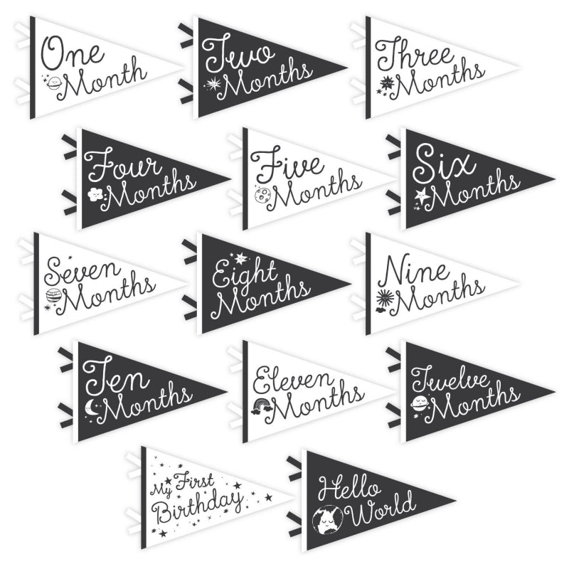 Little Stargazer Petit Milestone Pennants - HoneyBug
