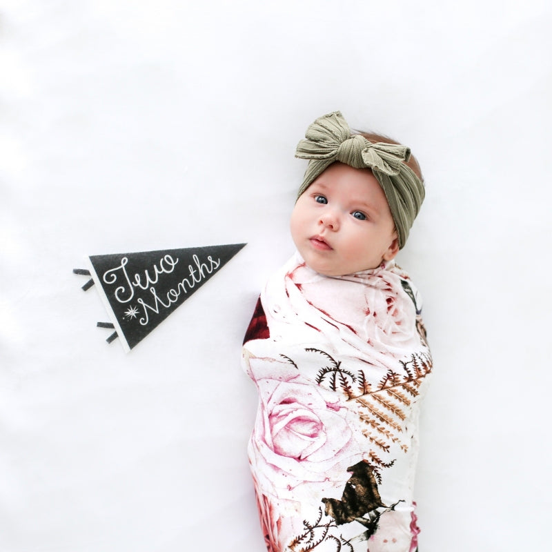 Little Stargazer Petit Milestone Pennants - HoneyBug