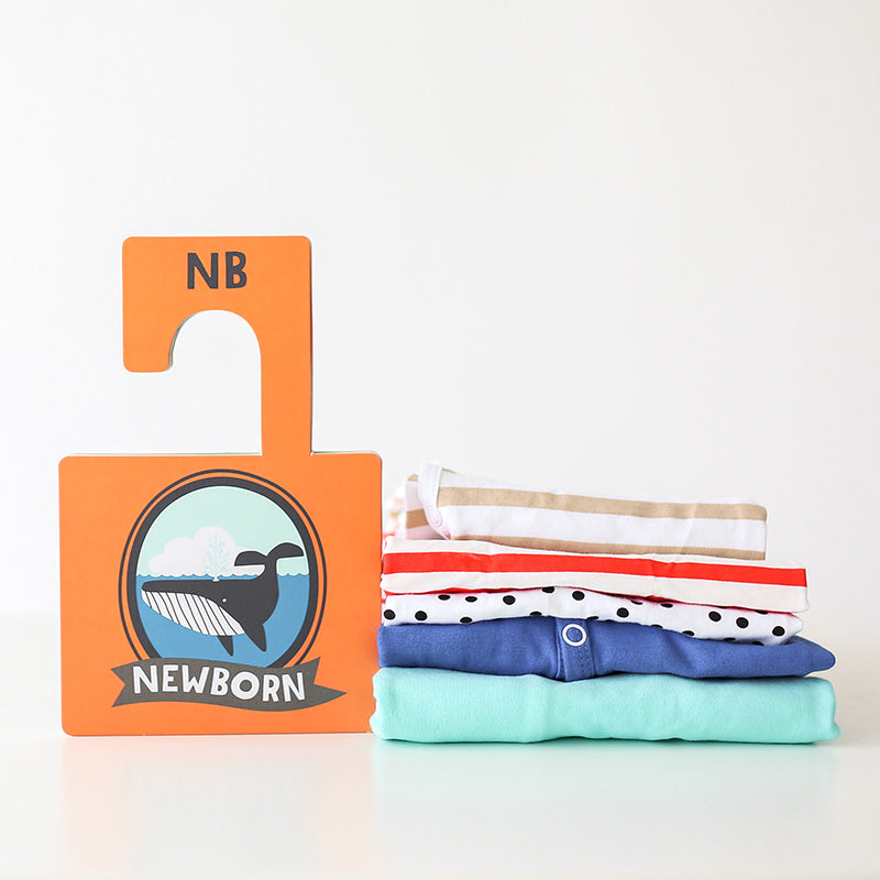 Little Captain Closet Dividers - HoneyBug