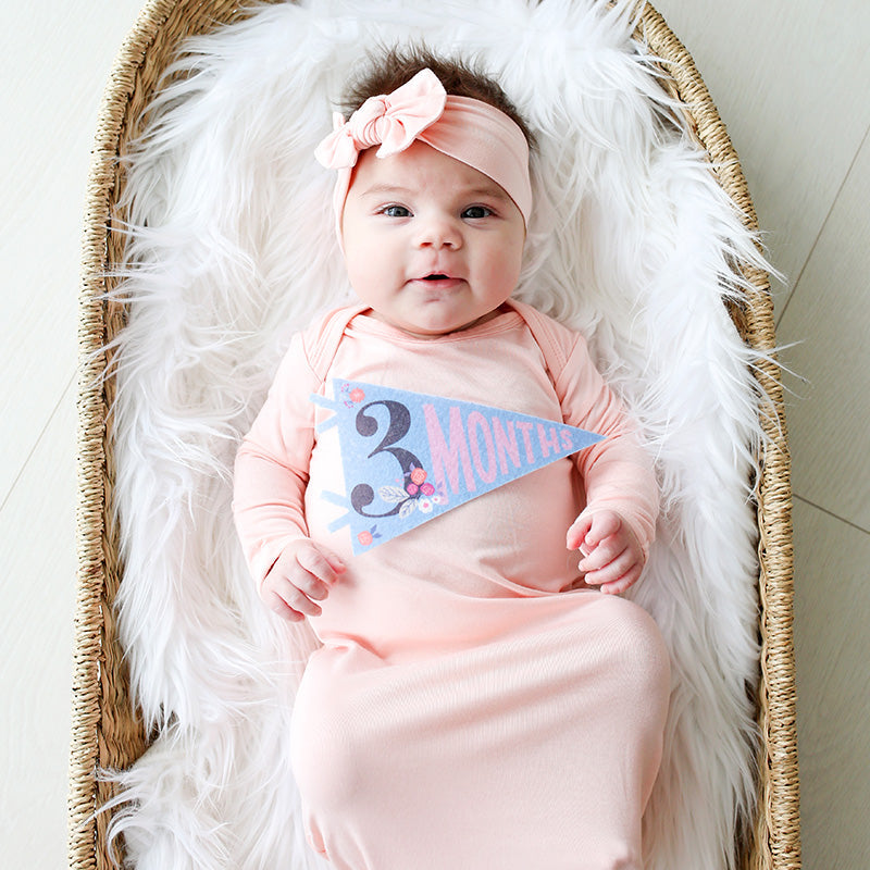 Little Artist Petit Milestone Pennants - HoneyBug