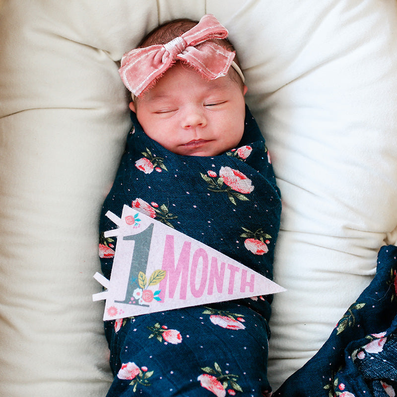 Little Artist Petit Milestone Pennants - HoneyBug