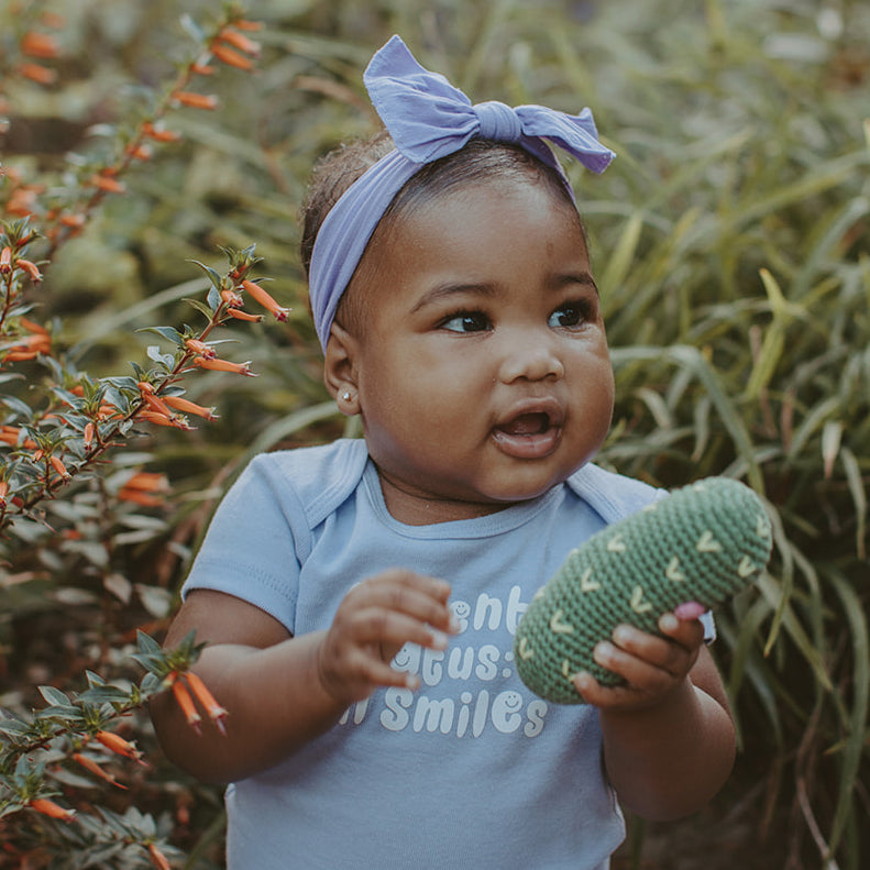 Friendly Pickle Rattle - HoneyBug