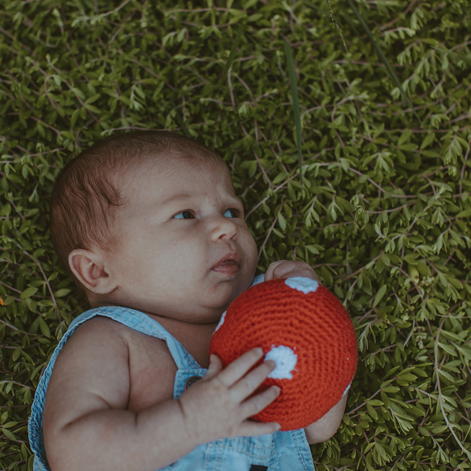 Friendly Mushroom Rattle - HoneyBug