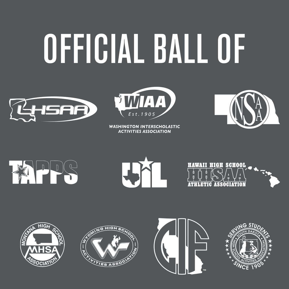 Perfection Thermo Soccer Ball - HoneyBug