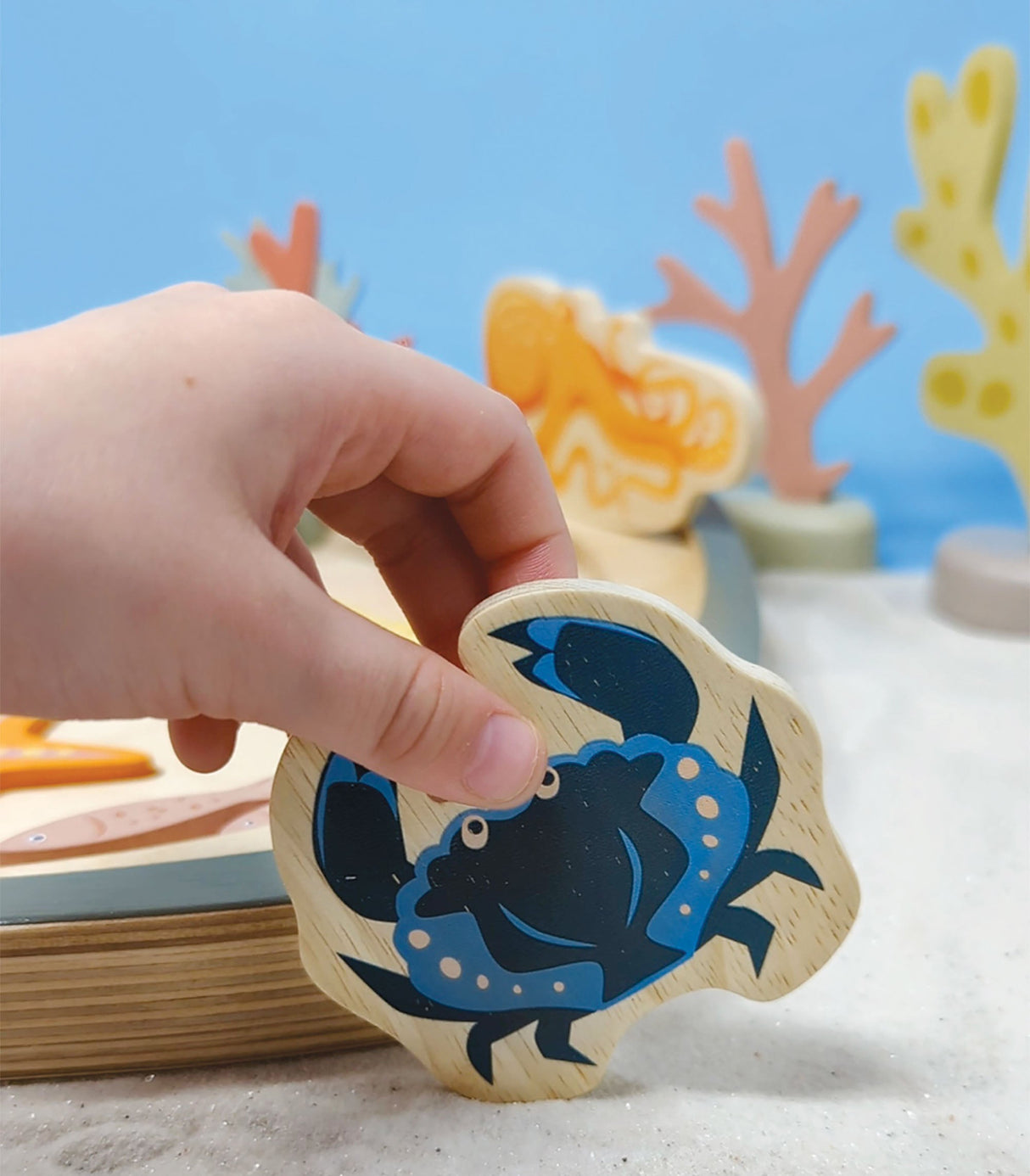 My Little Rock Pool - HoneyBug