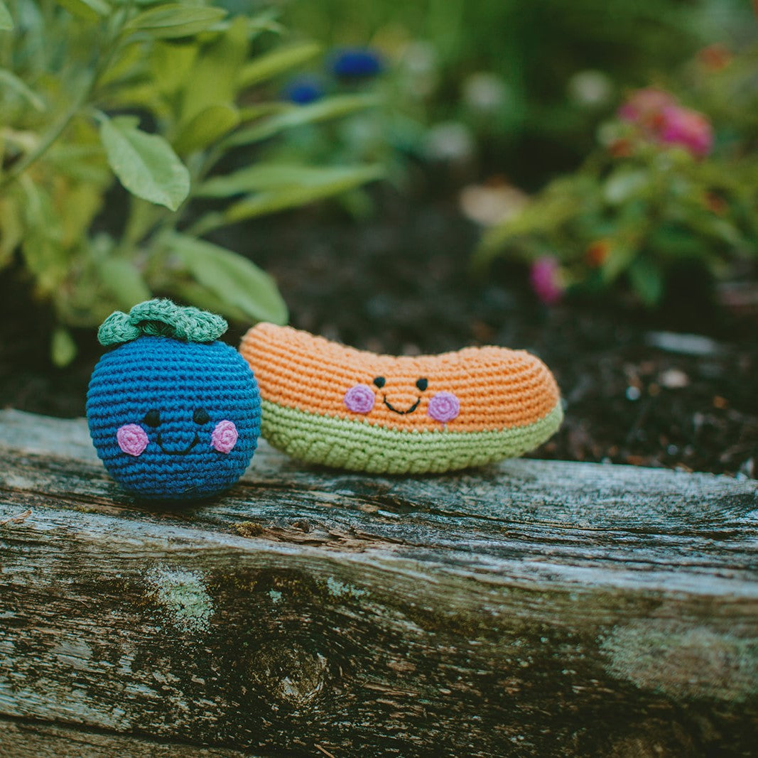 Pretend Play Food Rattle - Blueberry - HoneyBug
