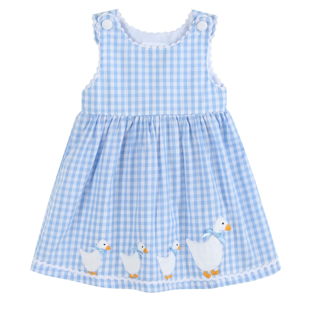 Blue Gingham Goose A Line Dress