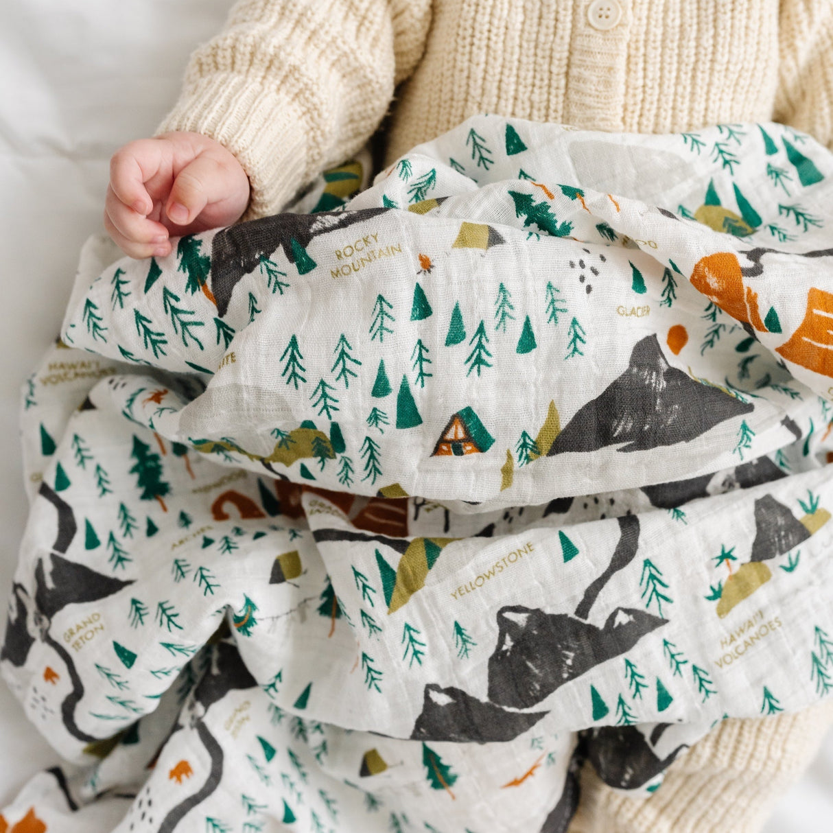 National Parks Swaddle (Mini Pattern)