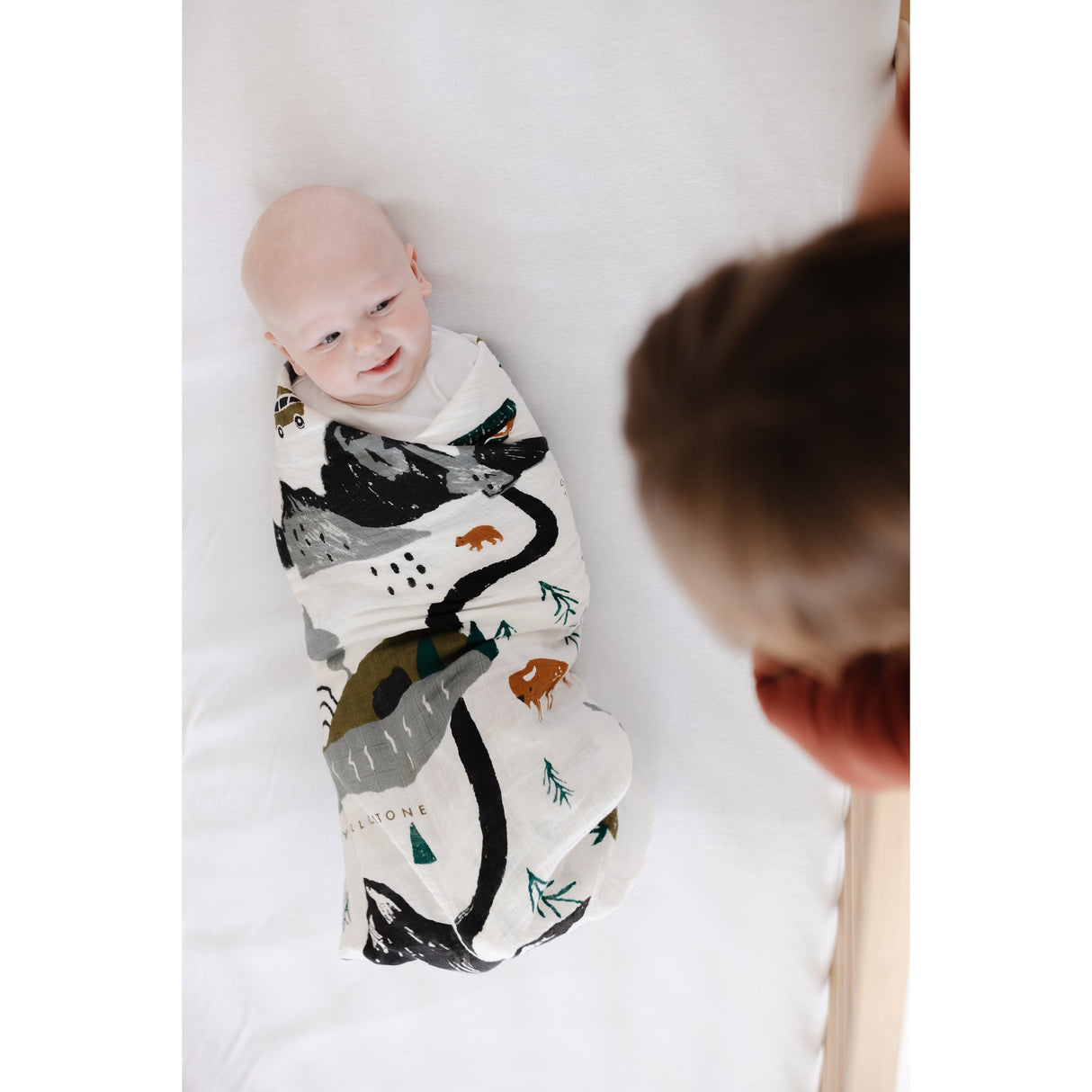 National Parks Swaddle - HoneyBug