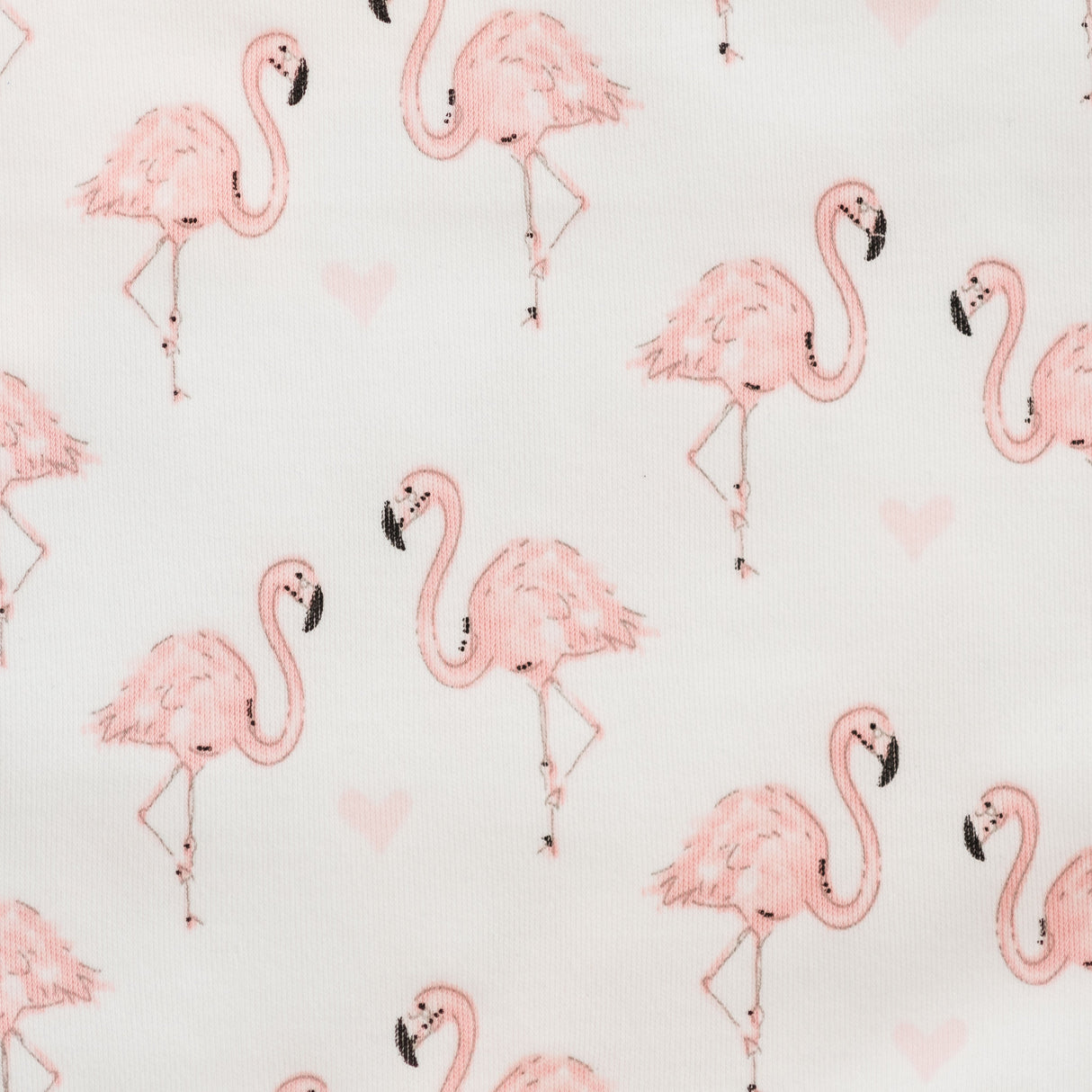 Pink Flamingo Bloomer - HoneyBug