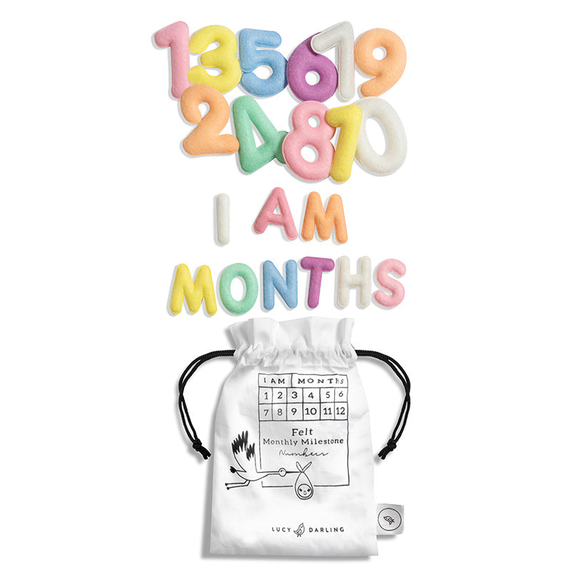 Milestone Felt Numbers in Pastel - HoneyBug