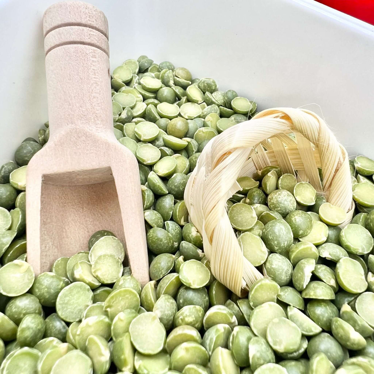 Spring Garden, Play Set with Lentils