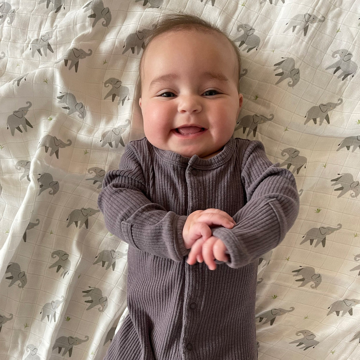 Lion & Elephant Swaddle Set - HoneyBug