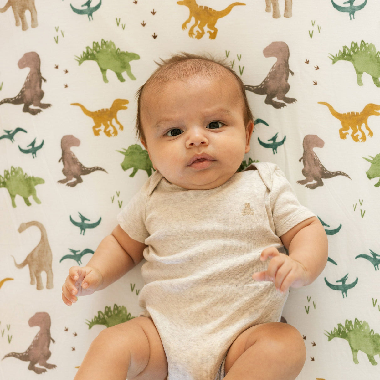 Stretch Knit Crib Sheet - Dino Pals - HoneyBug