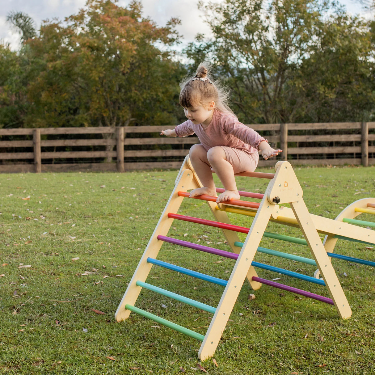 Tiny Land® 5-in-1 Rainbow Climbing Set - HoneyBug