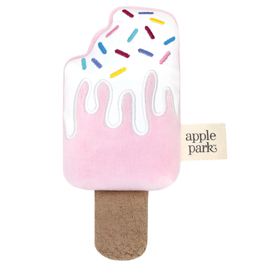 Popsicle Rattle - HoneyBug