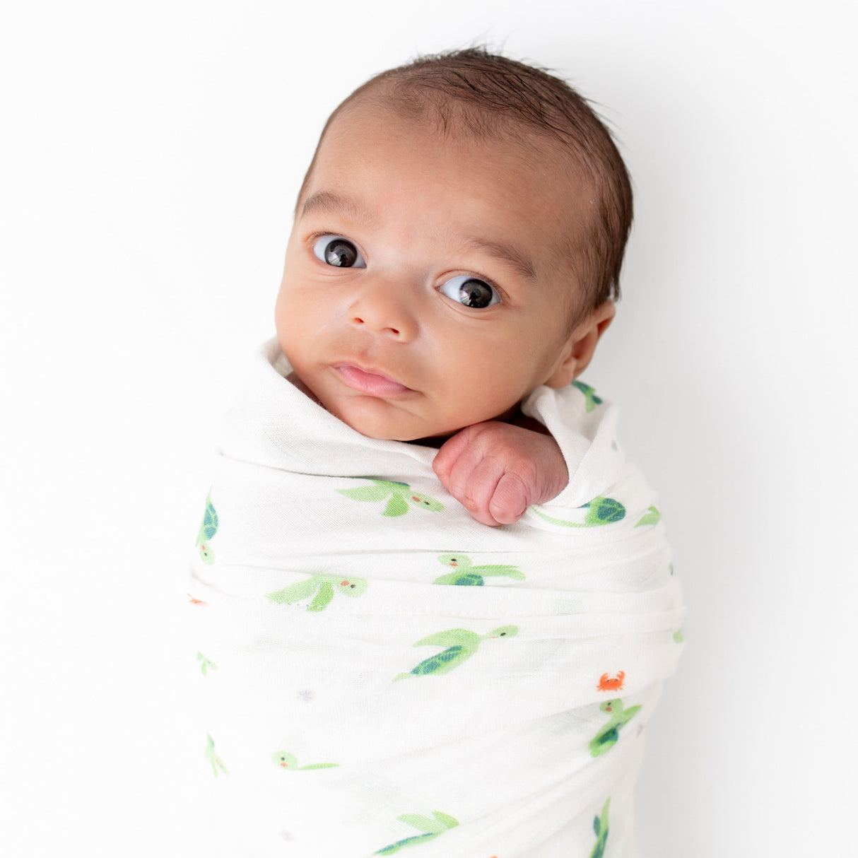 Turtle Swaddle - HoneyBug