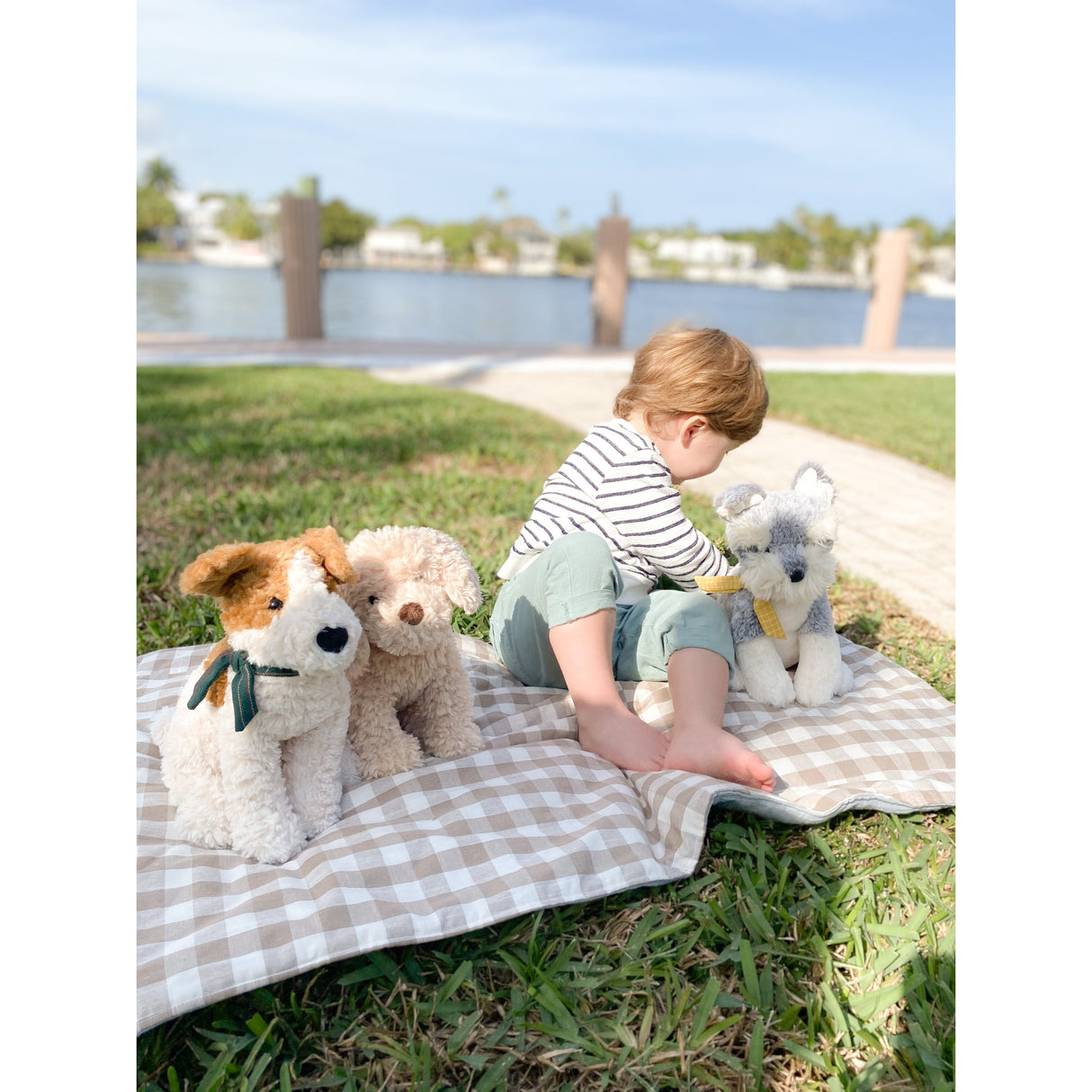 'Winston' The Schnauzer Puppy Plush Toy - HoneyBug