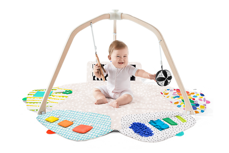 The Play Gym - HoneyBug 