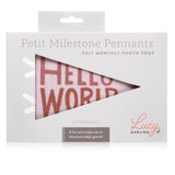 Mountain Fields Petit Milestone Pennant - HoneyBug 