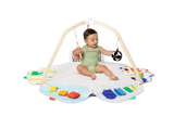 The Play Gym - HoneyBug 
