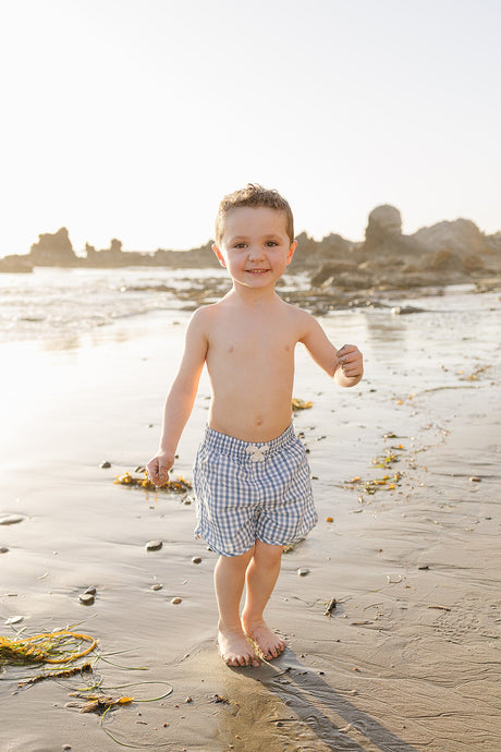 Light Blue Gingham Swim Shorts