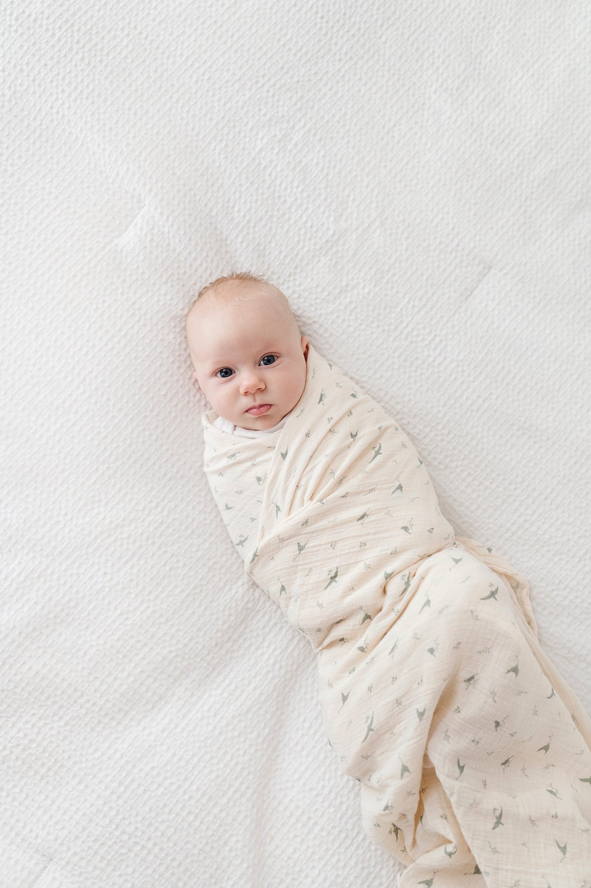 Cotton Muslin Swaddle Blanket - Sage Bird - HoneyBug 