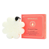 Grapefruit Cassis | Boxed Flower - HoneyBug 