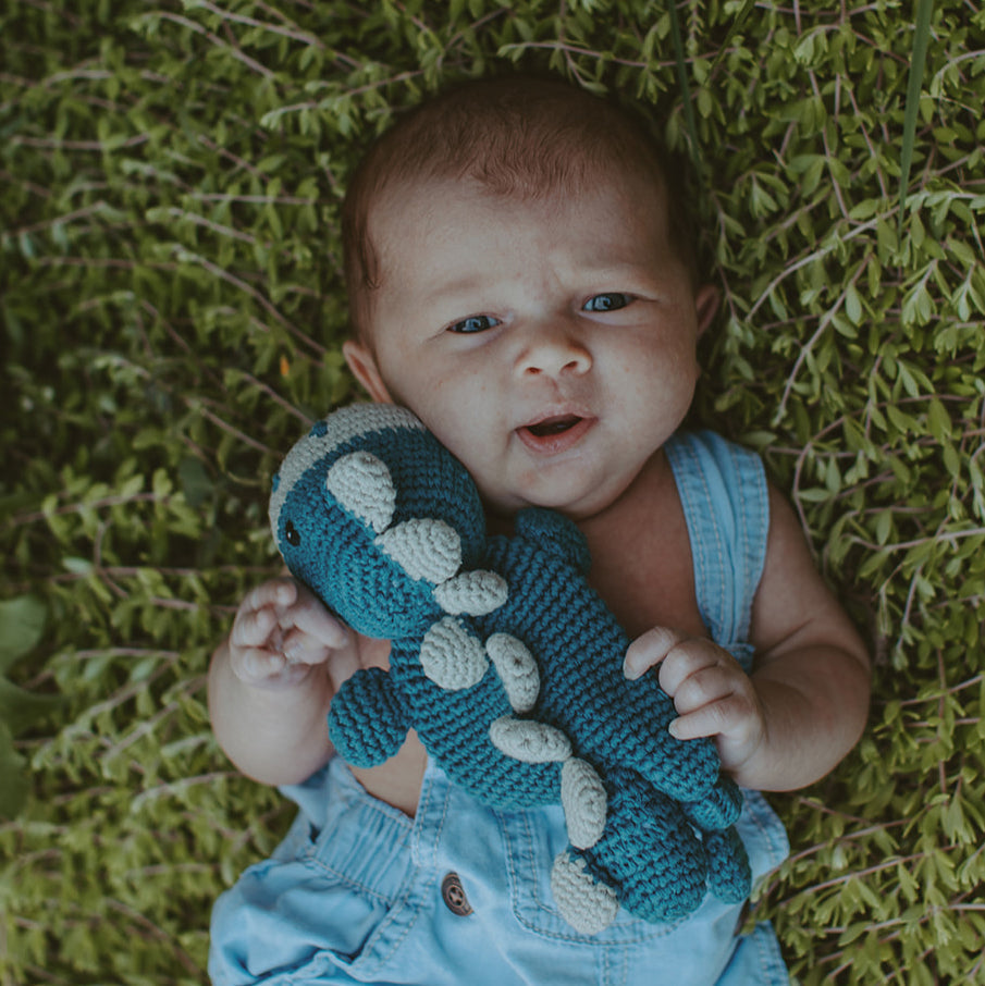 Dinosaur Lovey - HoneyBug 