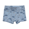Boy's Boxer