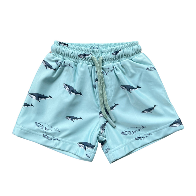Boy's Swim Shorts - HoneyBug 